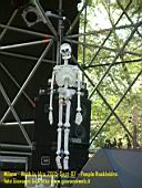 rockinidro__07 copia.jpg